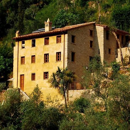 Almora B&B Pietrasanta Eksteriør bilde